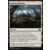 Ténèbres sur Innistrad - Paysage difforme