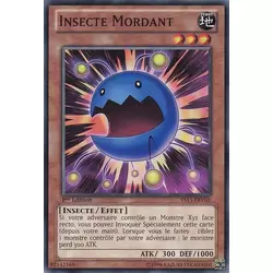 Insecte Mordant