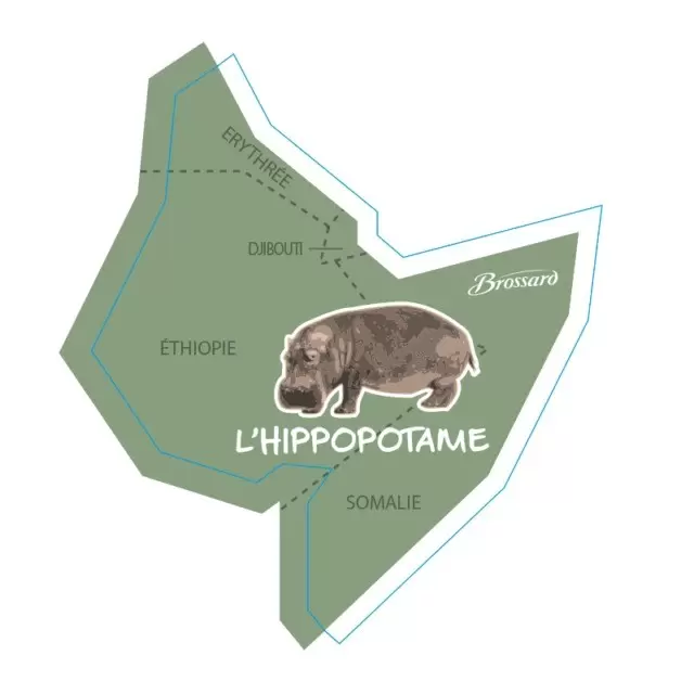 Magnets Brossard Afrique - L’hippopotame d’Éthiopie