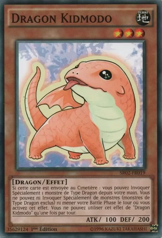 La Résurrection des Véritables Dragons SR02 - Dragon Kidmodo