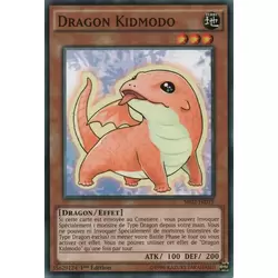 Dragon Kidmodo