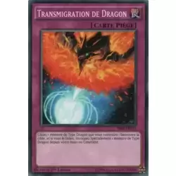 Transmigration de Dragon