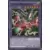 Seto Kaiba SDKS - Canon Dragon XY
