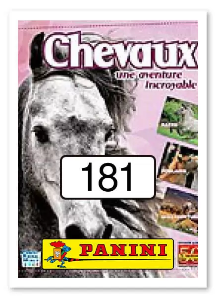 Chevaux : une aventure incroyable - Sticker n°181