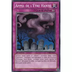 Appel de l'Être Hanté