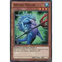 Soldat Triton