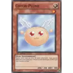 Coton-Plume