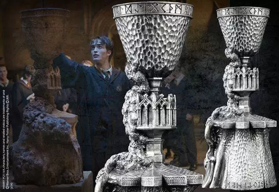 Goblet of Fire - The Noble Collection : Harry Potter NN7885