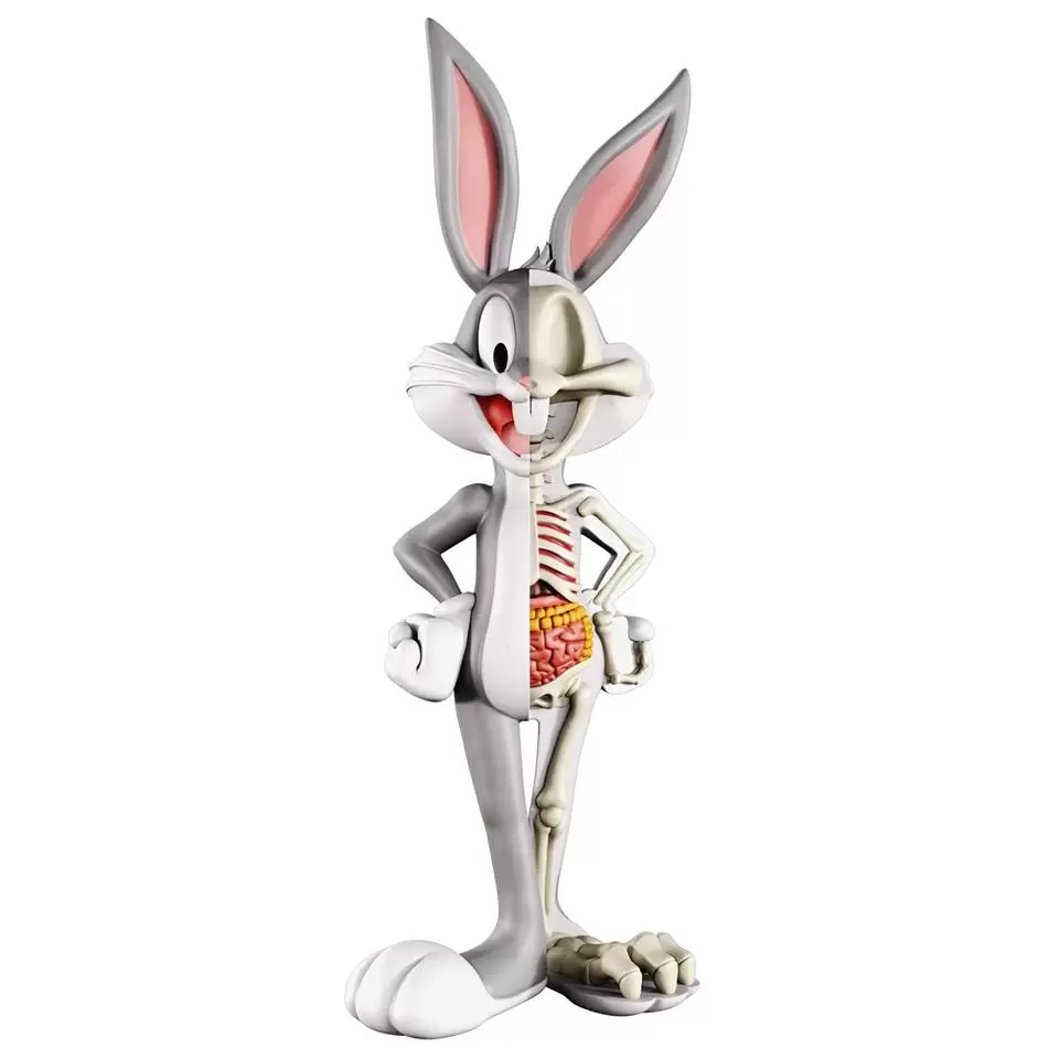 XXRAY - Looney Tunes - Bugs Bunny