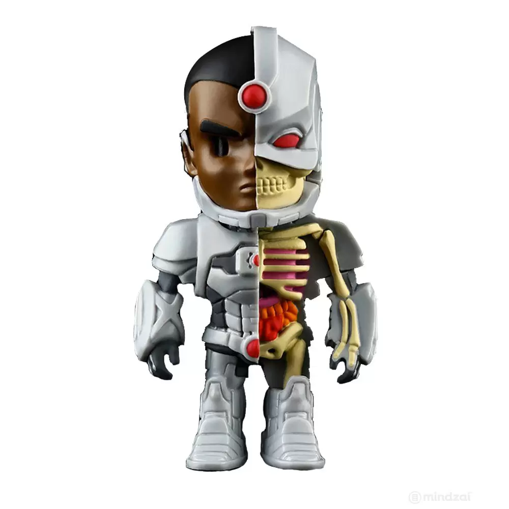 XXRAY - DC - Cyborg