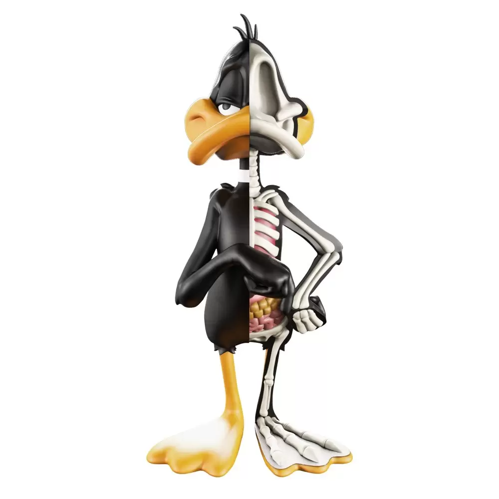XXRAY - Looney Tunes - Daffy Duck