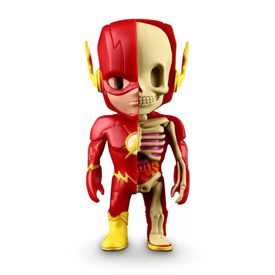 XXRAY - DC - The Flash