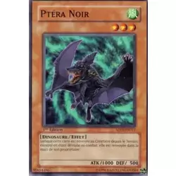 Ptéra Noir