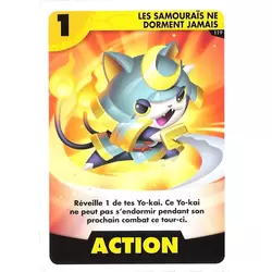 Les Samouraïs ne dorment jamais