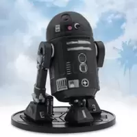 C2-B5