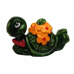 Turtle Dandy