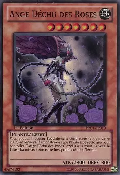 Collection Premium 2012 PRC1 - Ange Banni des Roses