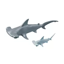 Hammerhead shark with baby