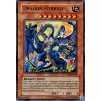 Dragon Hybride