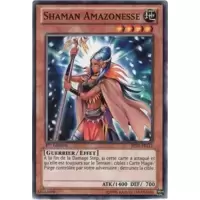 Shaman Amazonesse