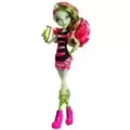 Temos 1 comprador(es) para Venus McFlytrap - Coffin Bean