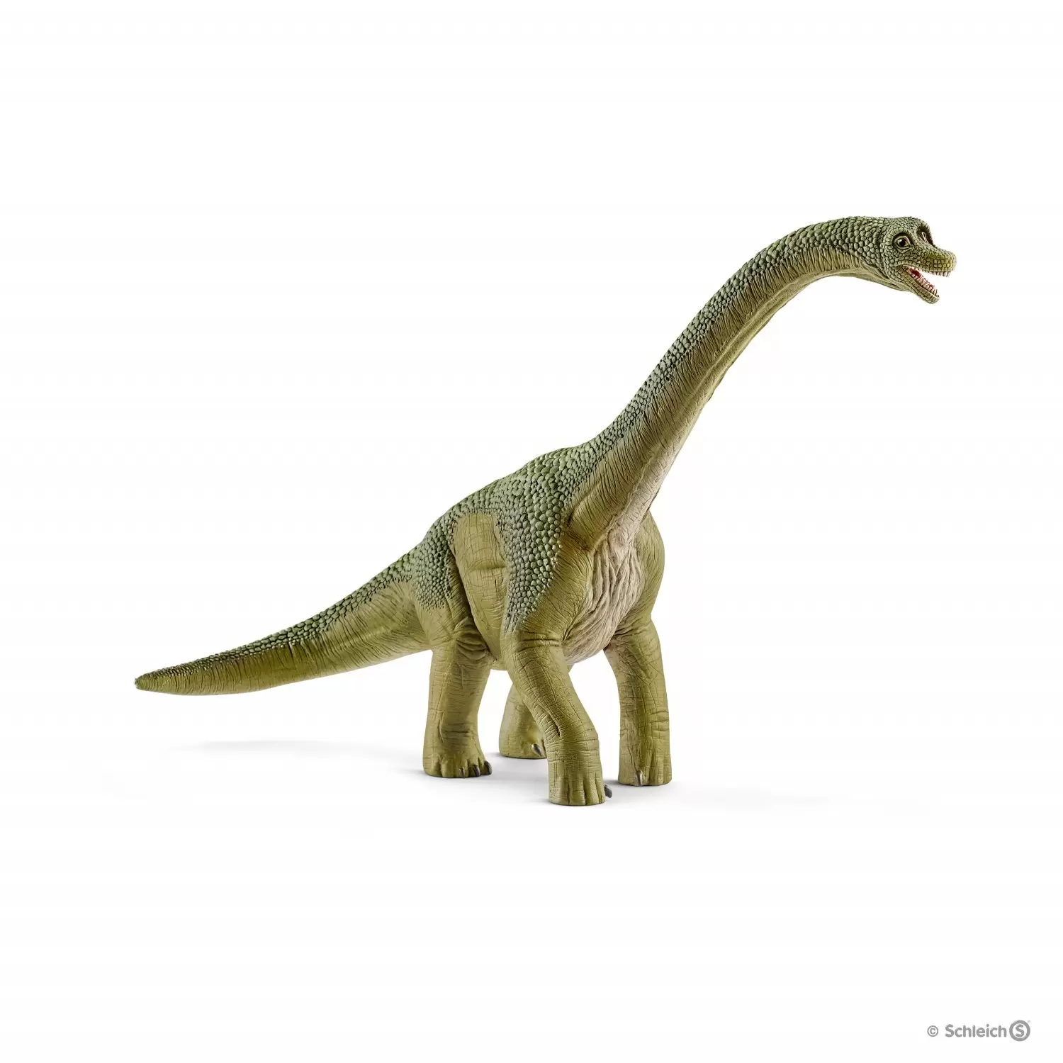 Dinosaurs - Brachiosaure