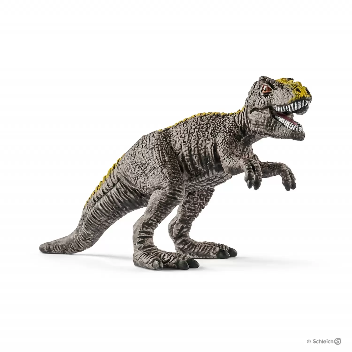 Dinosaurs - Mini Tyrannosaure Rex