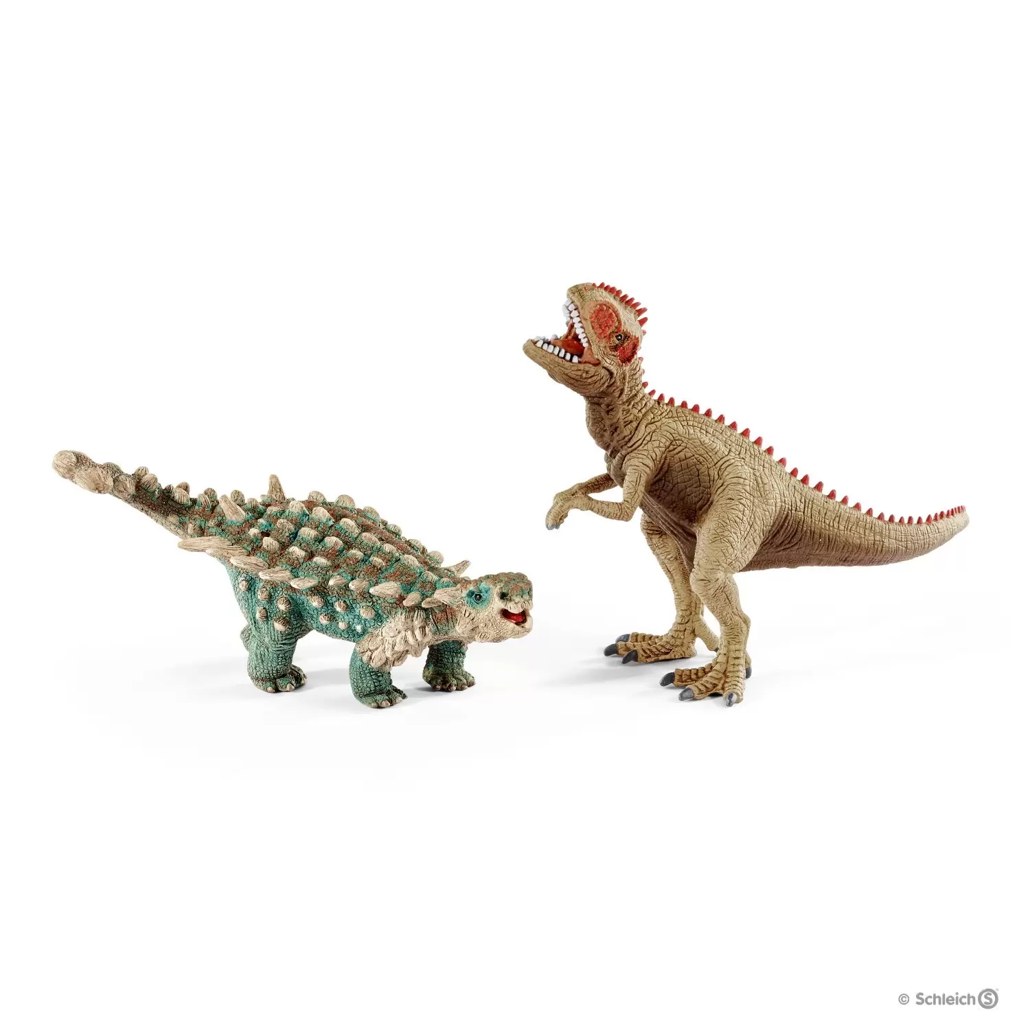 Dinosaurs - Petits saichania et giganotosaure