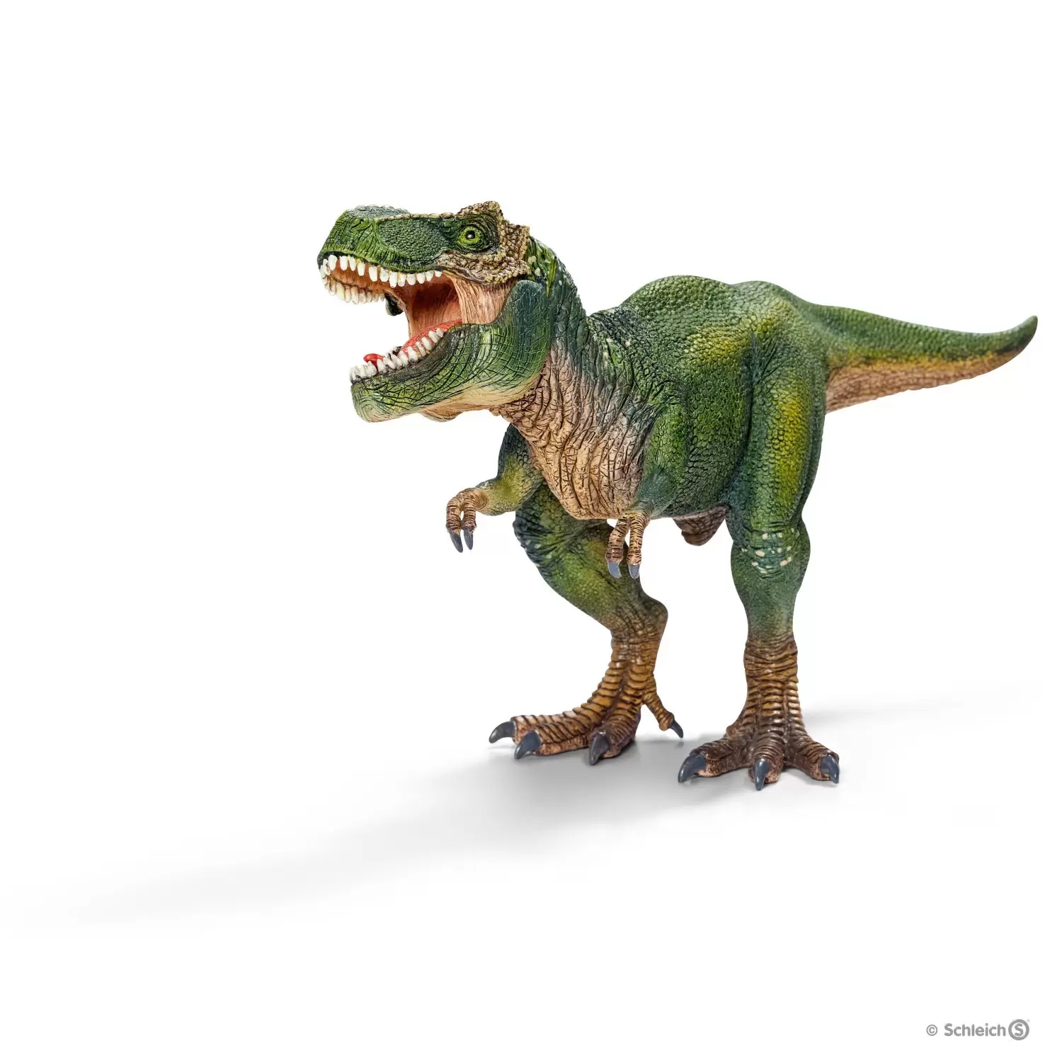 Dinosaurs - Tyrannosaure Rex