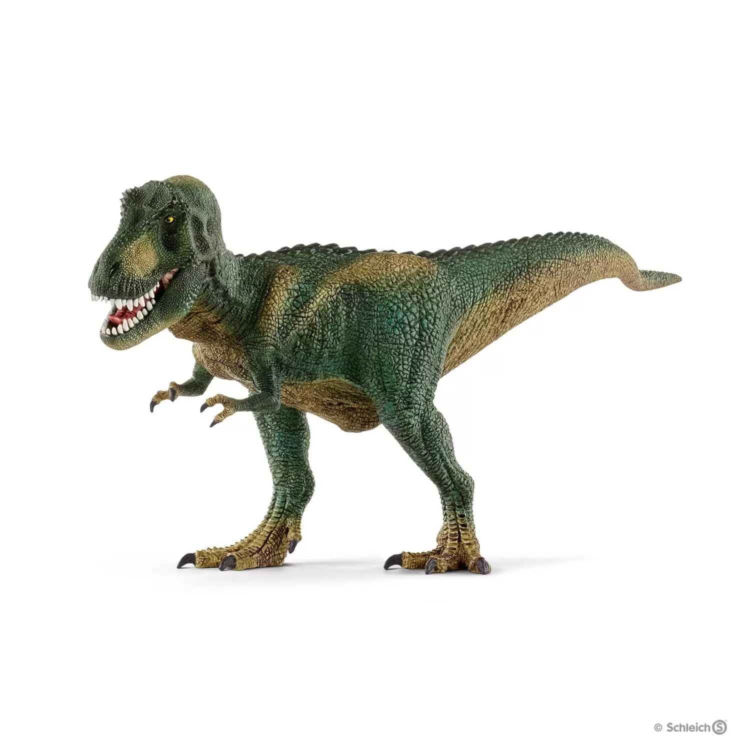 Dinosaurs - Tyrannosaure Rex