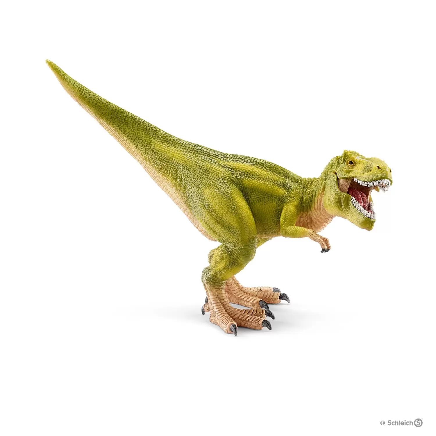 Dinosaurs - Tyrannosaure rex, vert clair