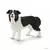 Farm World - Border collie