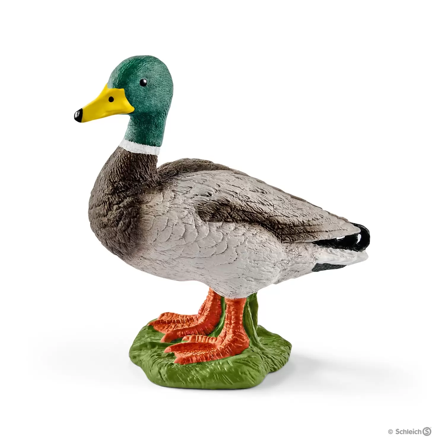 Farm World - Canard