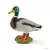 Farm World - Canard