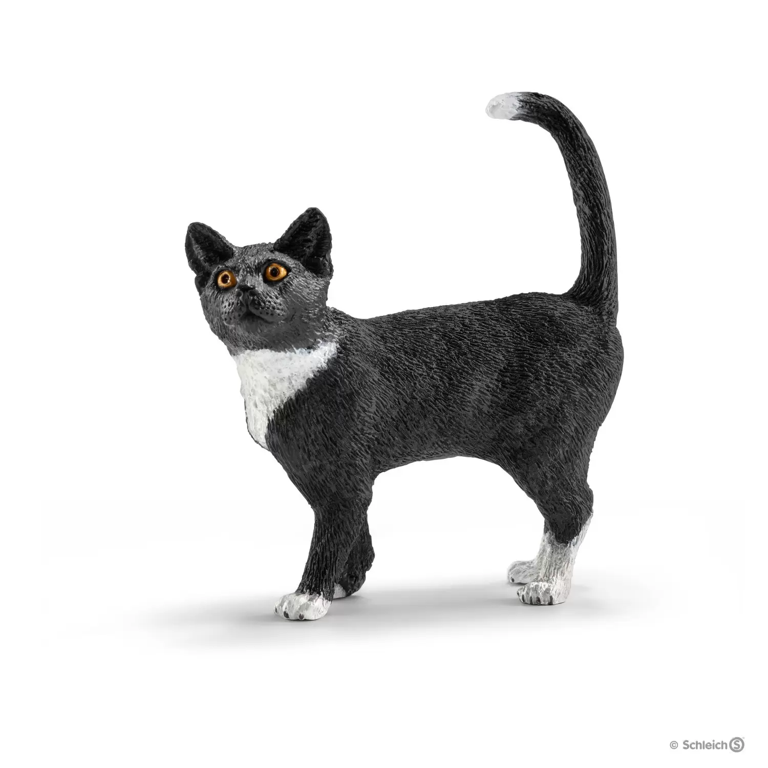Farm World - Chat debout
