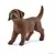 Farm World - Chiot Labrador Retriever