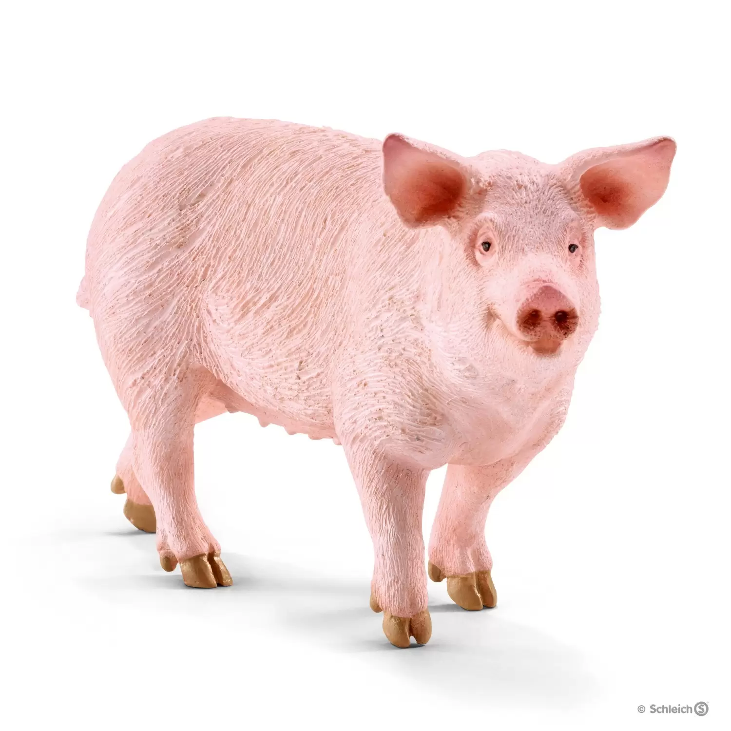Farm World - Cochon