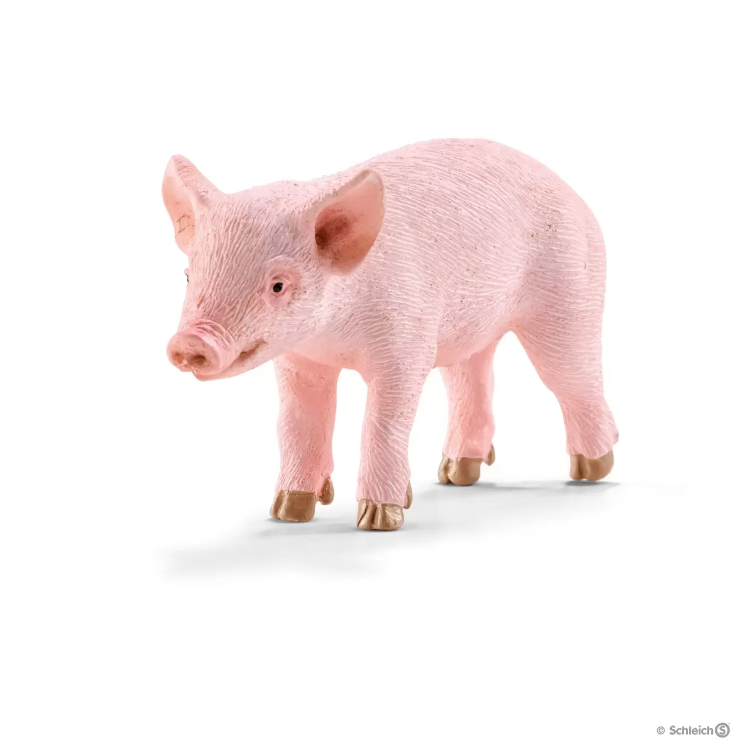 Farm World - Cochonnet debout