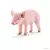 Cochonnet debout