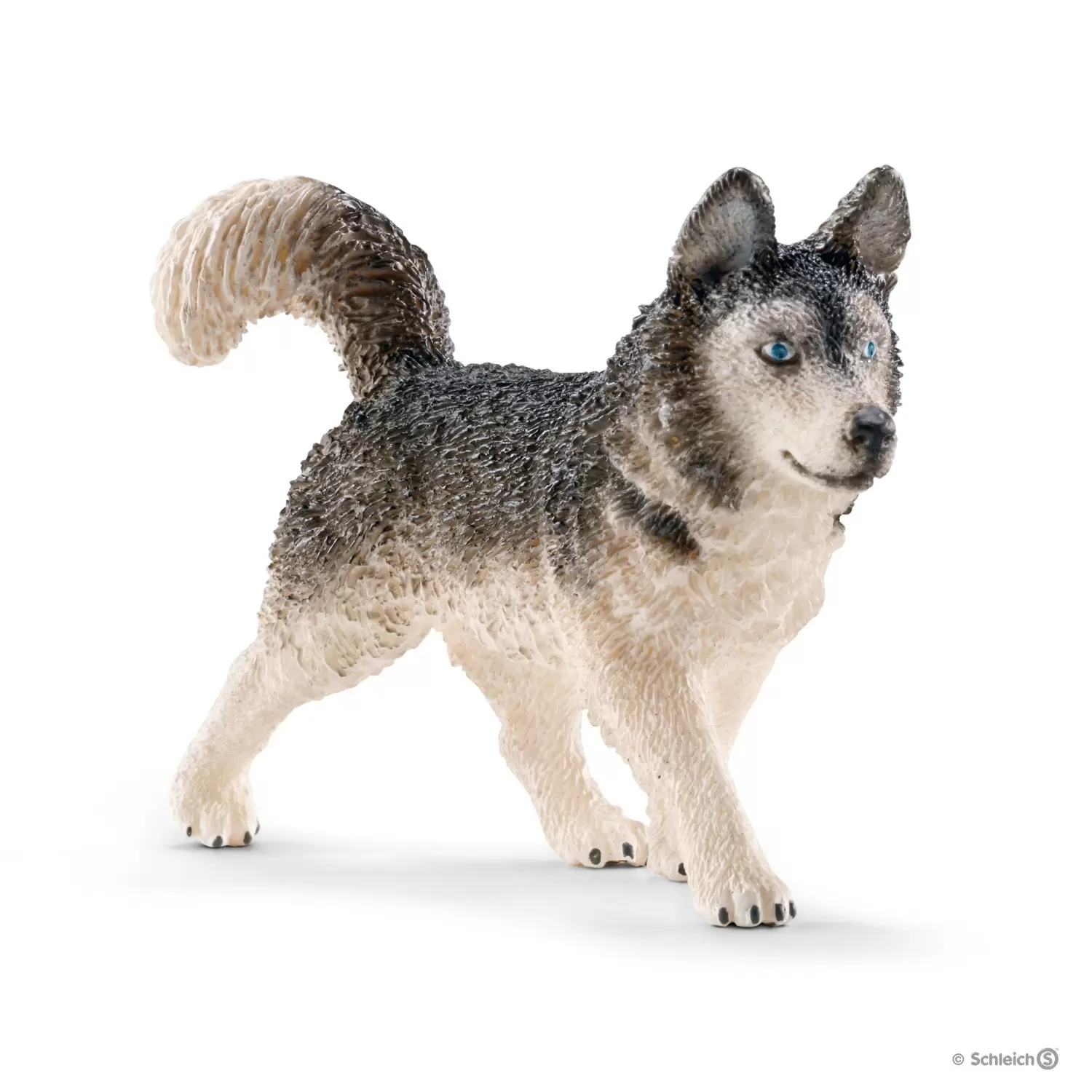 Farm World - Husky