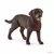 Farm World - Labrador Retriever, femelle