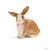 Farm World - Lapin