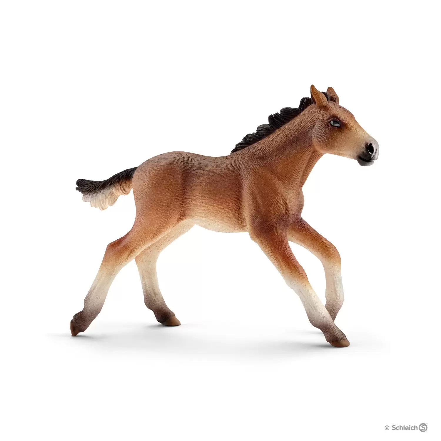 Farm World - Poulain mustang