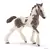 Poulain Tinker