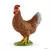 Poule