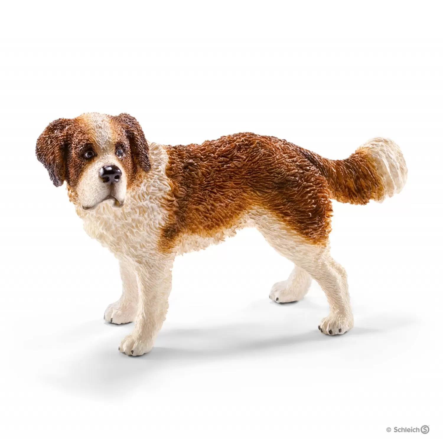 Farm World - Saint Bernard