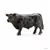 Taureau Angus