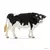 Taureau Holstein