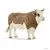 Taureau Simmental