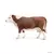 Vache Hereford